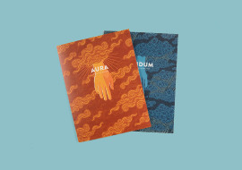 Aura & Fluidum